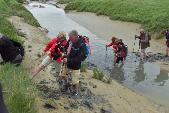 4 Baie de Somme (15)